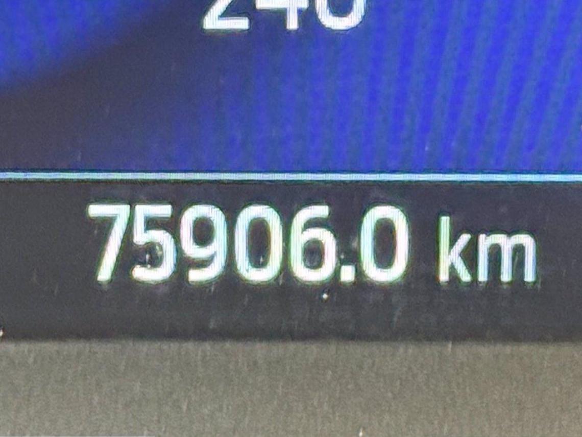 FORD Kuga 1 5 ecoblue st line 2wd 120cv