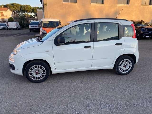 Fiat Panda Panda 1.2 Easy 69cv