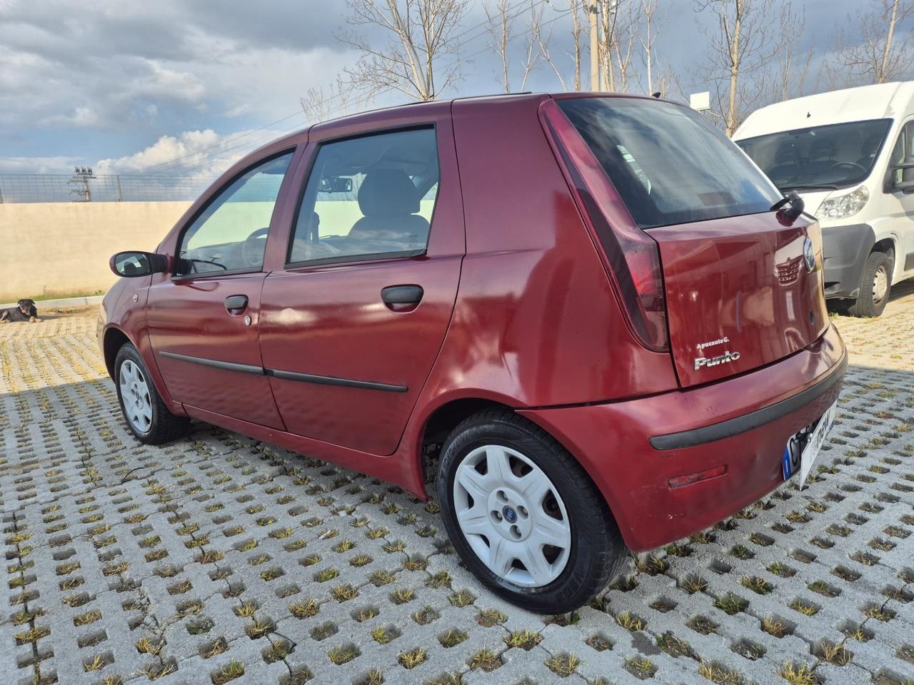Fiat Punto 1.2 5 porte Dynamic