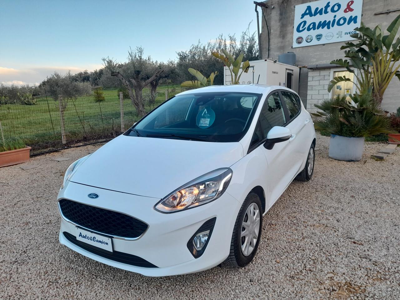 Ford Fiesta 1.5 EcoBlue 5 porte Connect Anno 2020