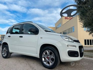 Fiat panda natural power