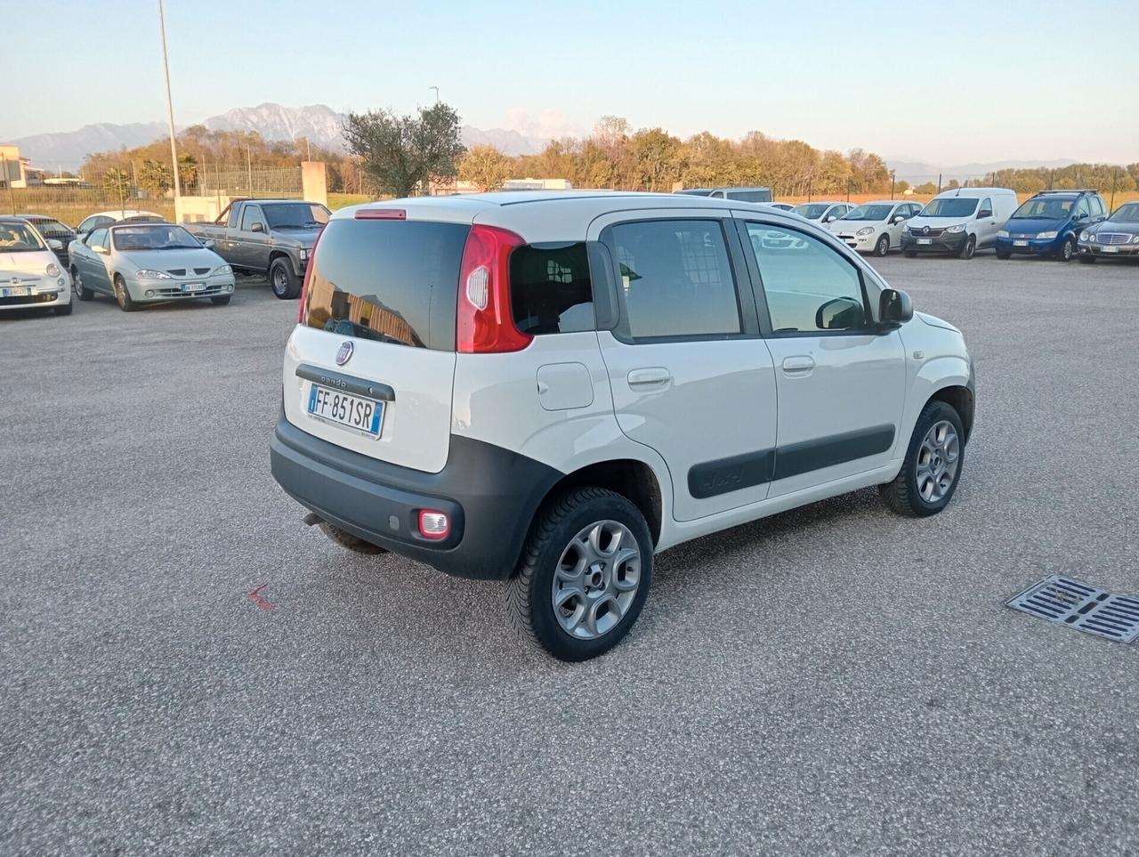 Fiat Panda 1.3 MJT 4x4 Van 2 posti