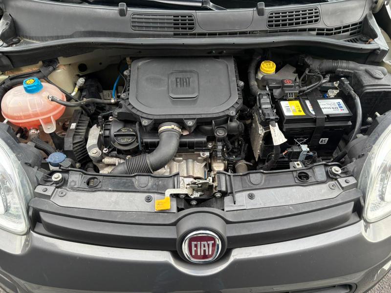 Fiat Panda 1.0 firefly hybrid s&s 70cv ADATTA A NEOPATENTATI