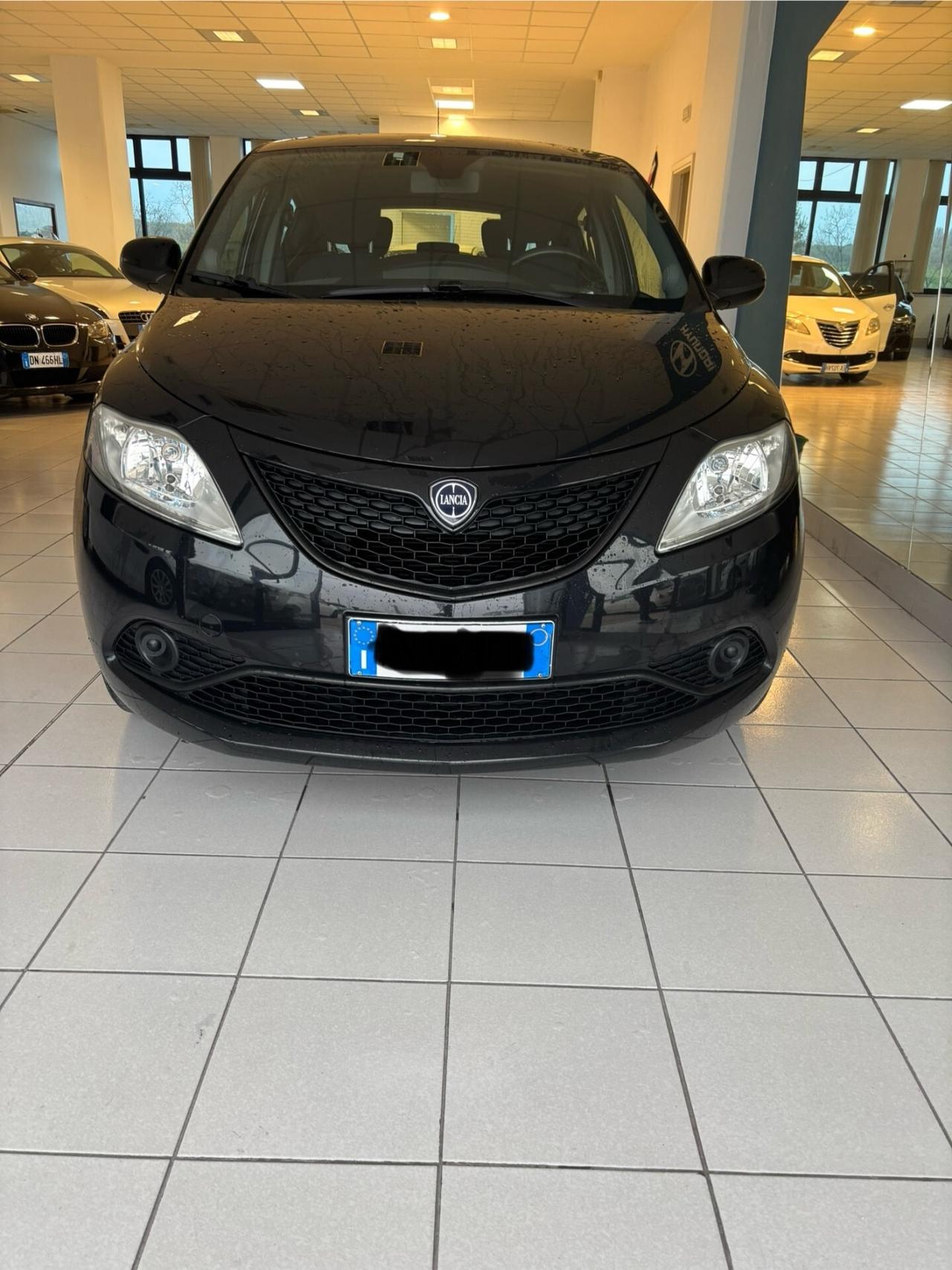 Lancia Ypsilon 1.2 69 CV 5 porte Platinum