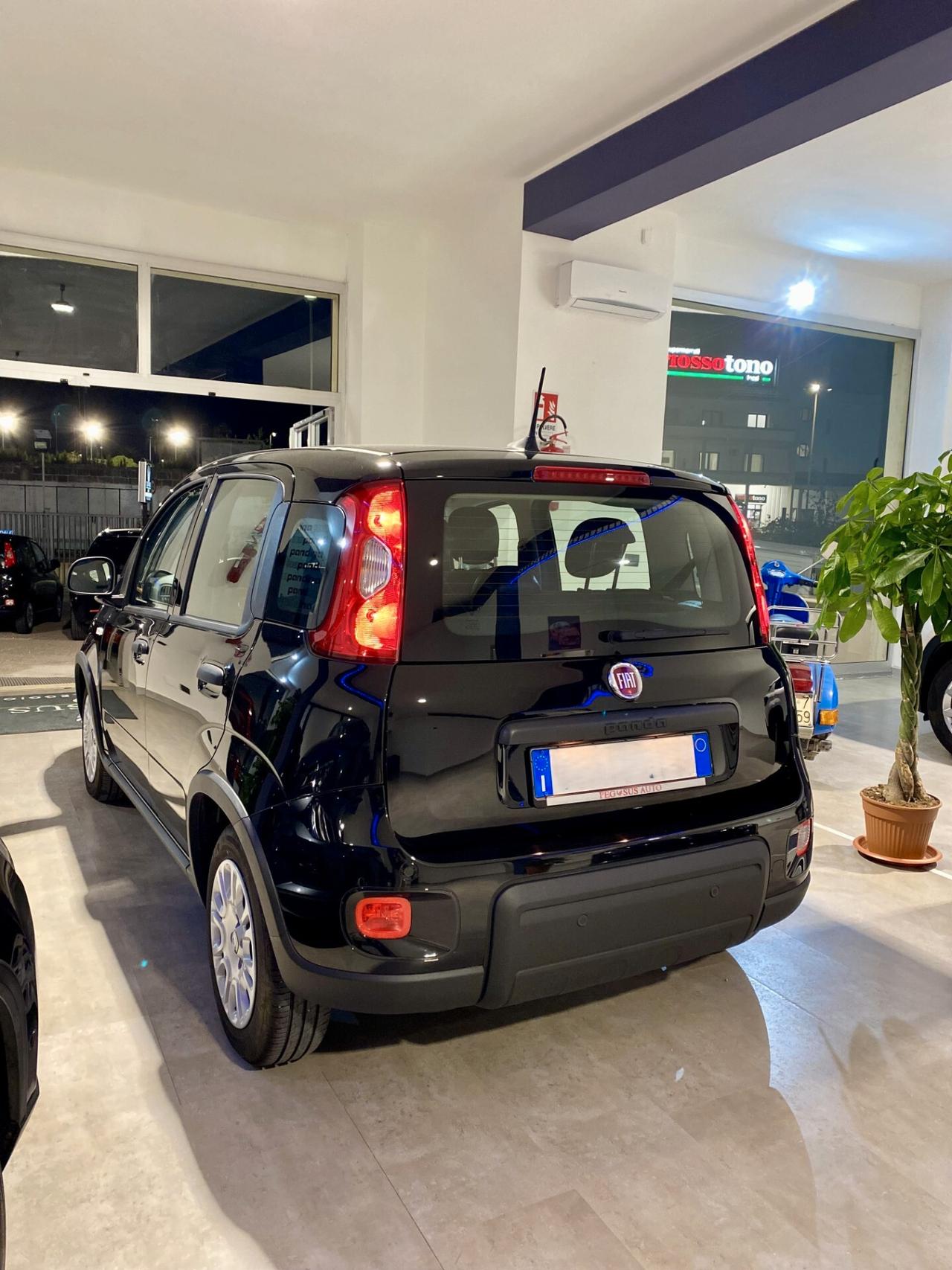Fiat Panda 1.0 FireFly S&S Hybrid Pandina