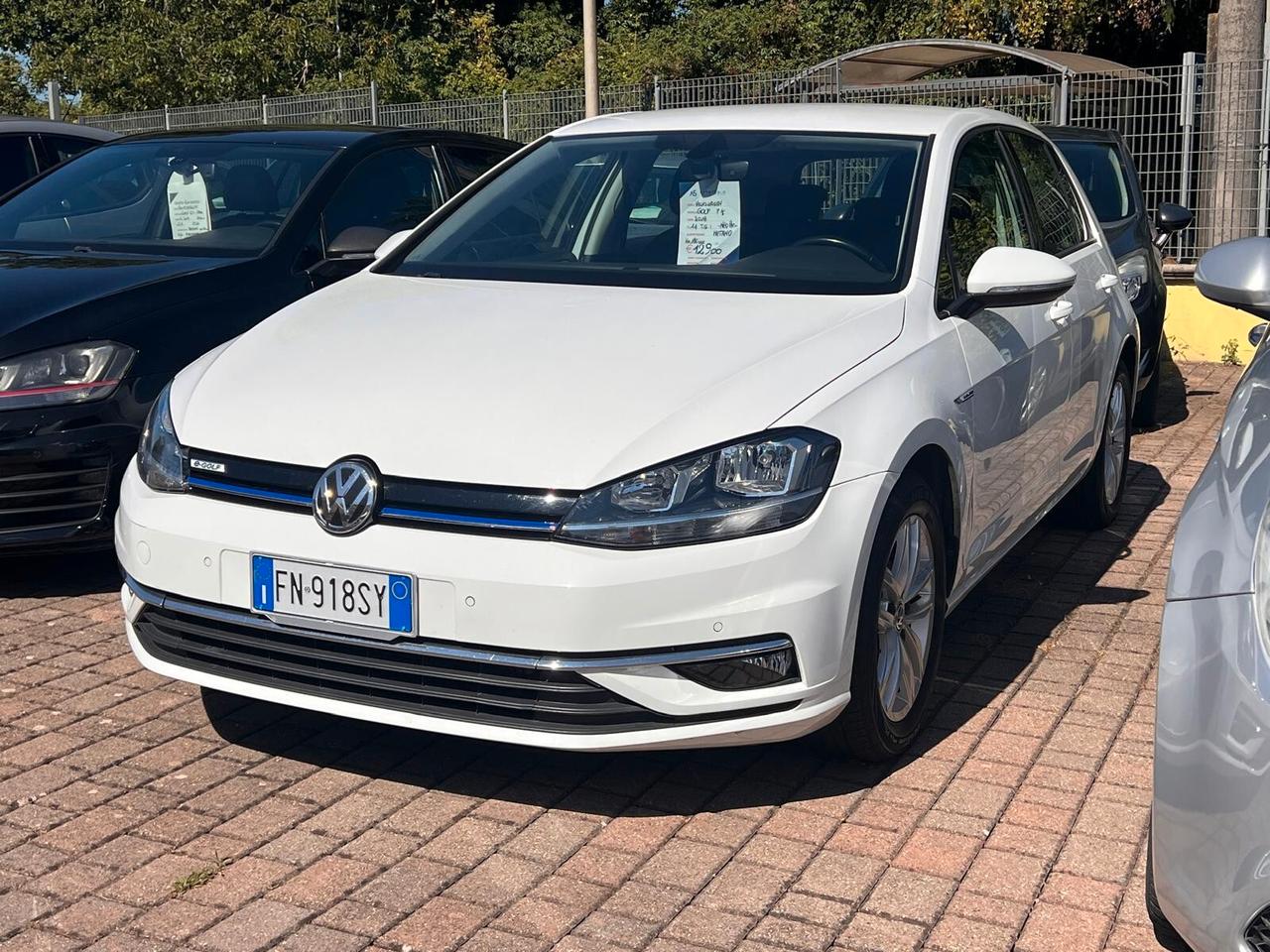 Volkswagen Golf 1.4 TGI 5p. Executive BlueMotion METANO