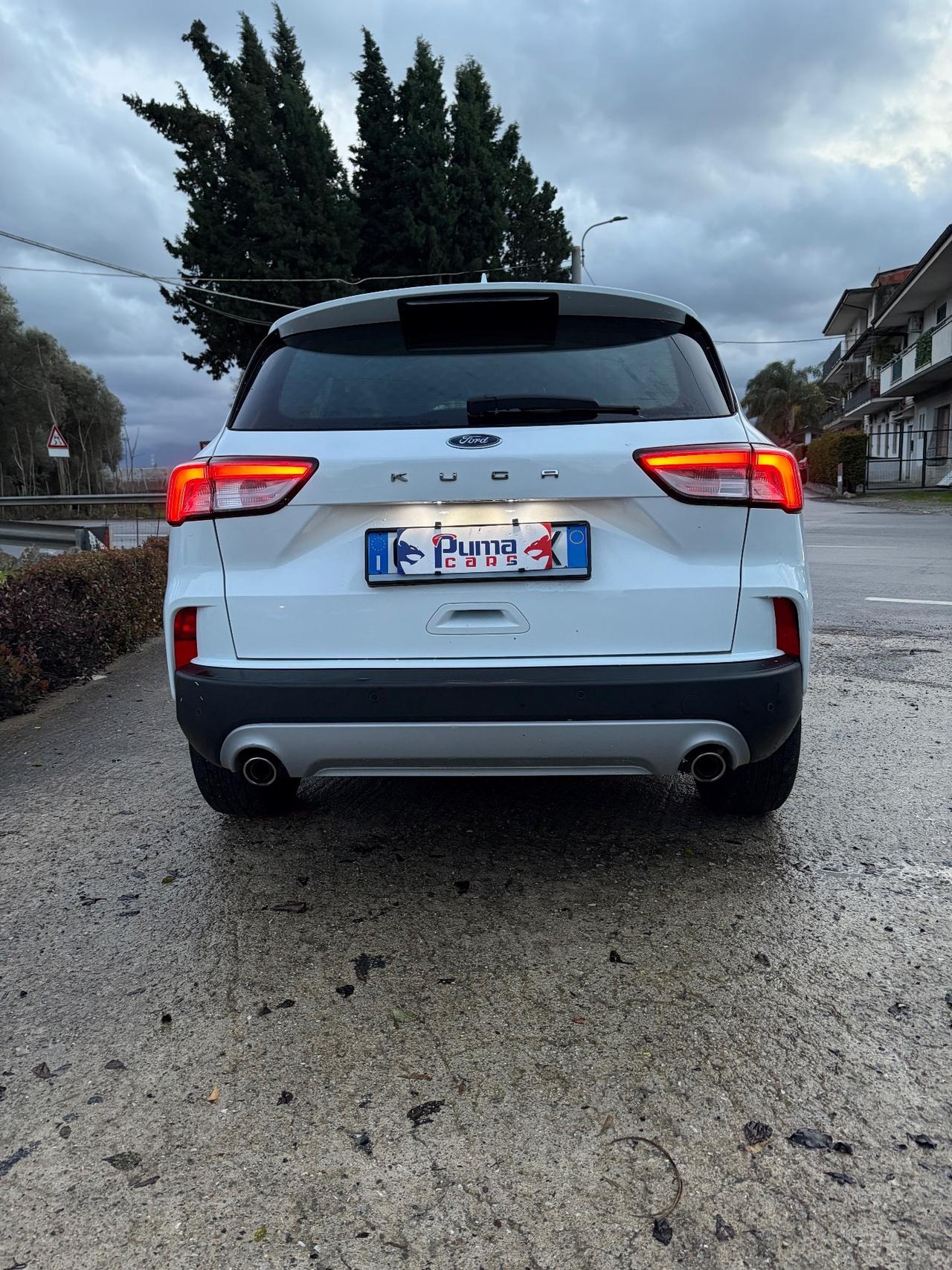 Ford Kuga 1.5 EcoBlue 120 CV aut. 2WD ST-Line X