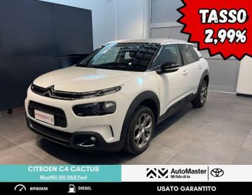 Citroën C4 Cactus BlueHDi 100 S&S Feel