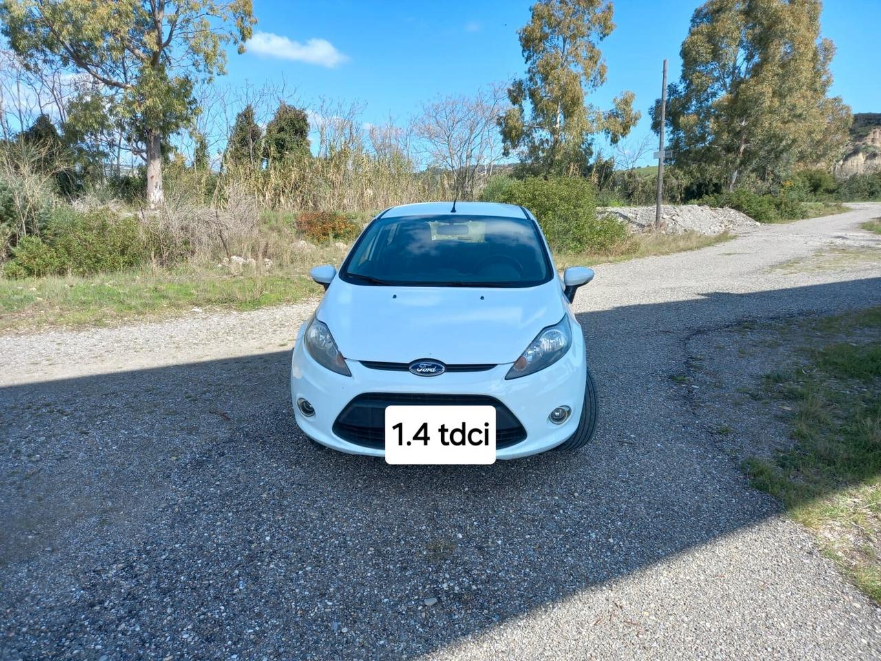 Ford Fiesta 1.4 TDCi 70CV 5 porte Titanium