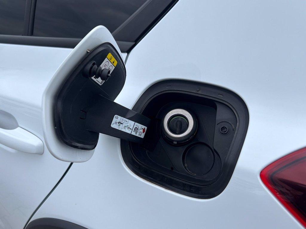 FORD Focus 1.0 EcoBoost Hybrid 125 CV 5p. Active Design del 2023