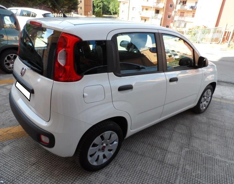 Fiat Panda 1.2 Benzina 69 cv Easy