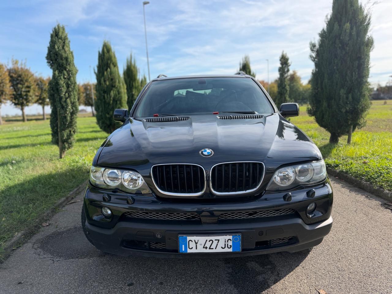 Bmw X5 3.0d cat Attiva