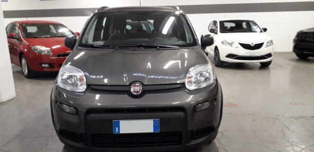 FIAT Panda 1.0 FireFly S&S Hybrid 70 CV CITY LIFE