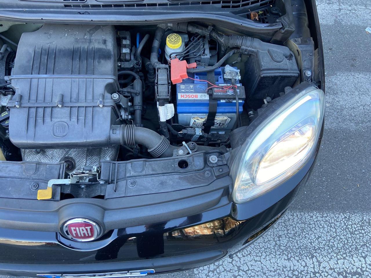 Fiat Panda Easy 1.2 #10319