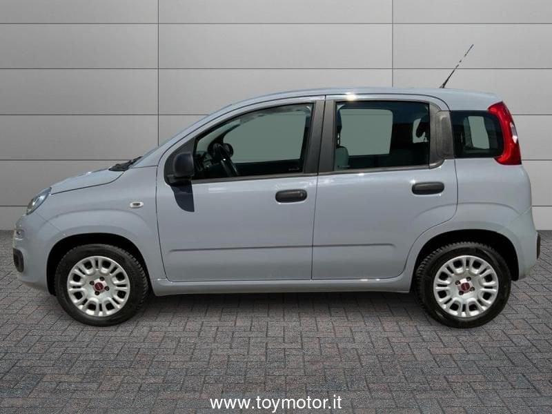 FIAT Panda 3ª serie 1.2 Easy