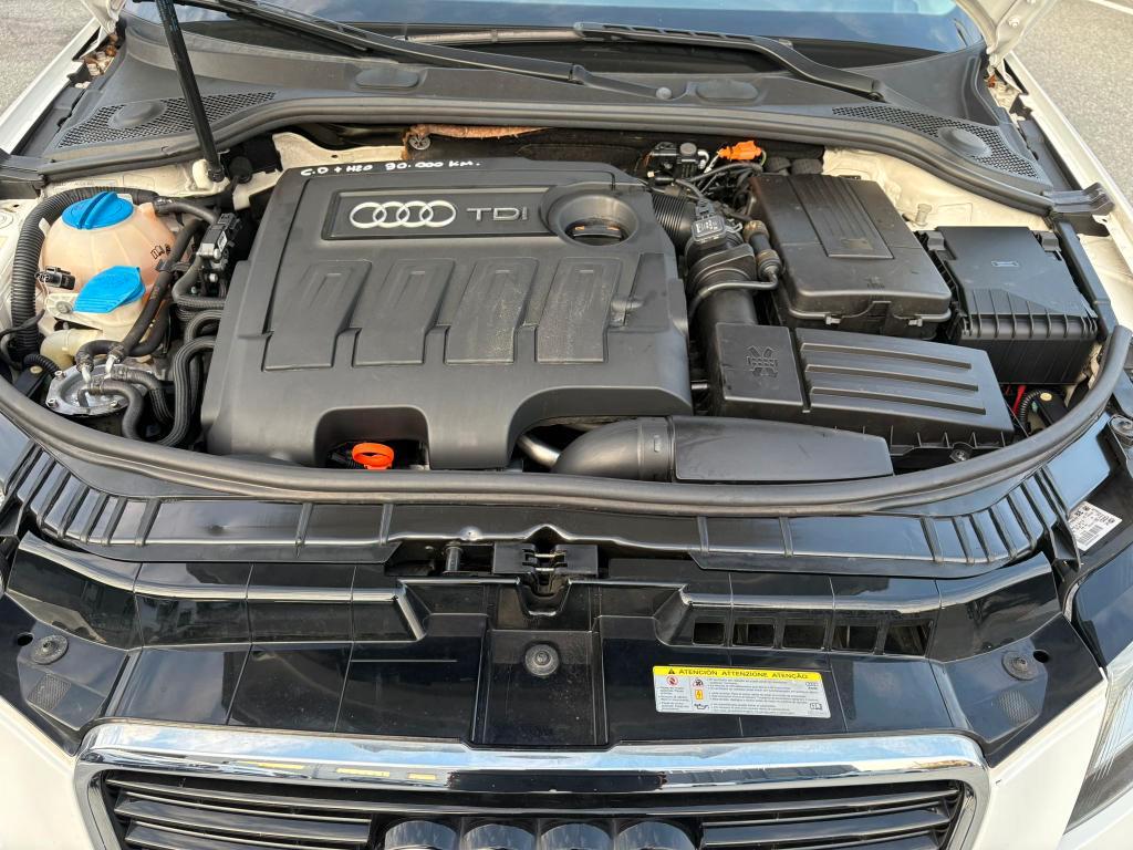 Audi A3 Sportback 1.6 tdi Young Edition 90cv ADATTA NEOPATENTATI