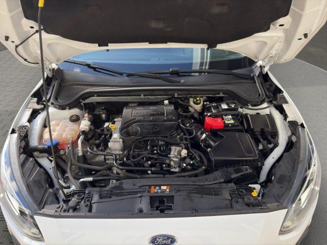 FORD Focus 1.0 EcoBoost 100 CV 5p. Business