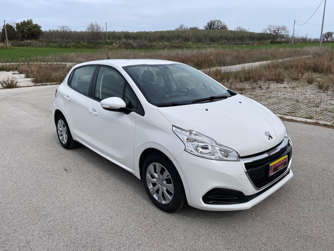 Peugeot 208 BlueHDi 100 S&S 5 porte Active Van 2 posti