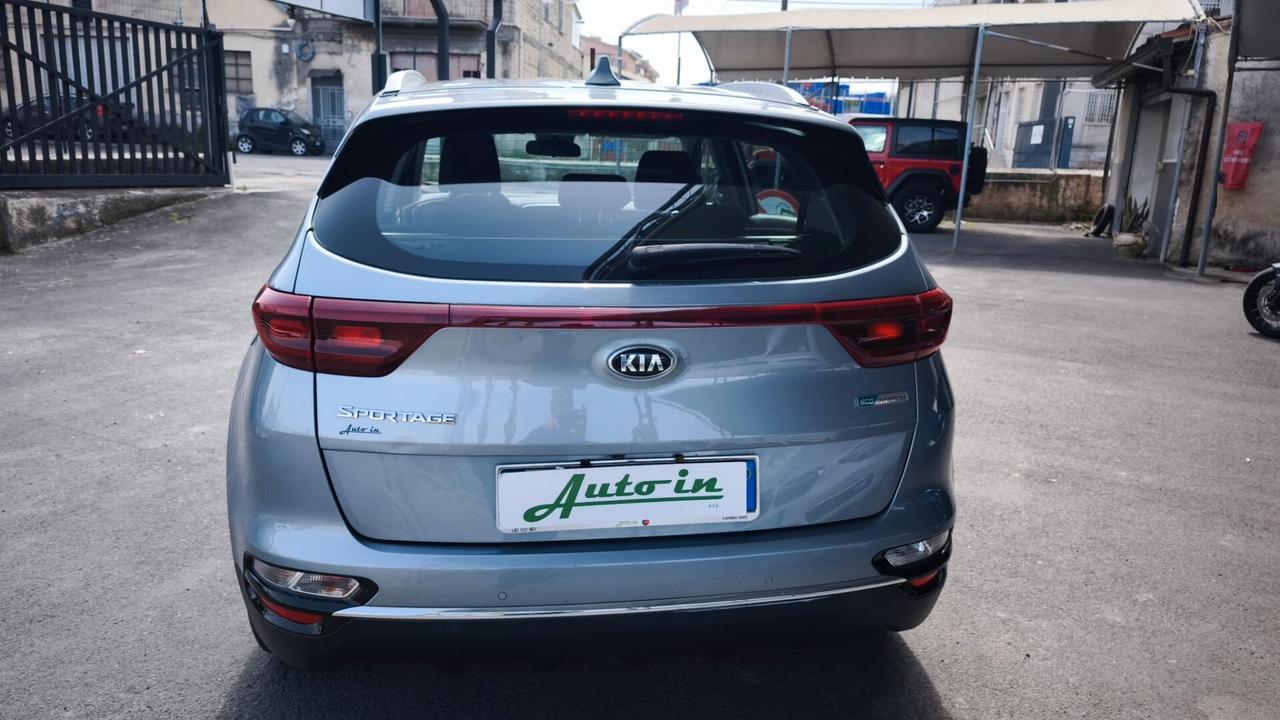 Kia Sportage 1.6 CRDI 136 CV DCT7 2WD Mild Hybrid Business Class