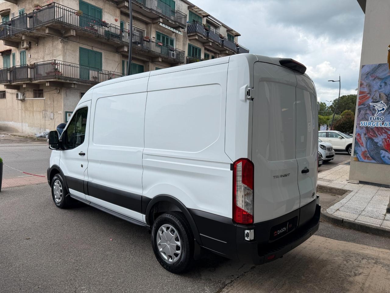 Ford Transit 290 2.0TDCi EcoBlue PM-TM Furgone Entry