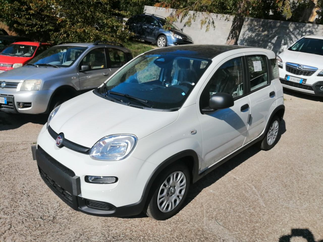 Fiat Panda 1.0 FireFly S&S Hybrid VENDUTA