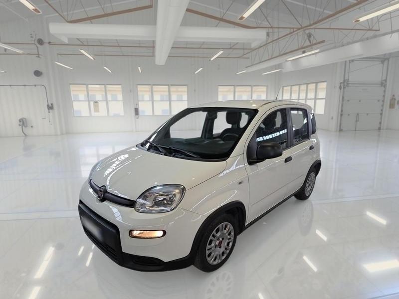 FIAT PANDA 1.0 FireFly 70cv S/S Hybrid