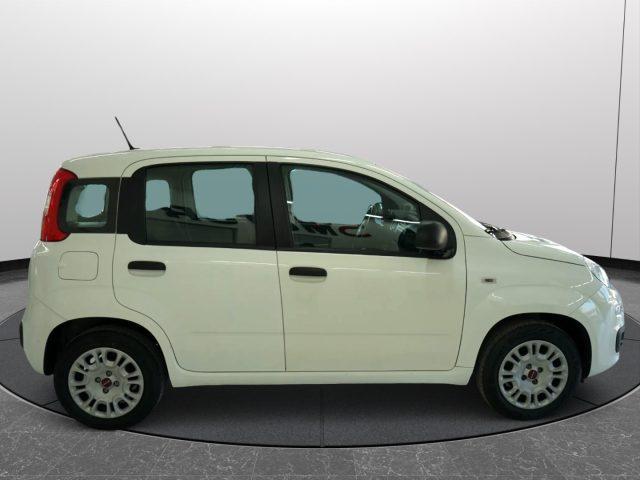 FIAT Panda 1.2 EasyPower Easy UNICO PROPRIETARIO