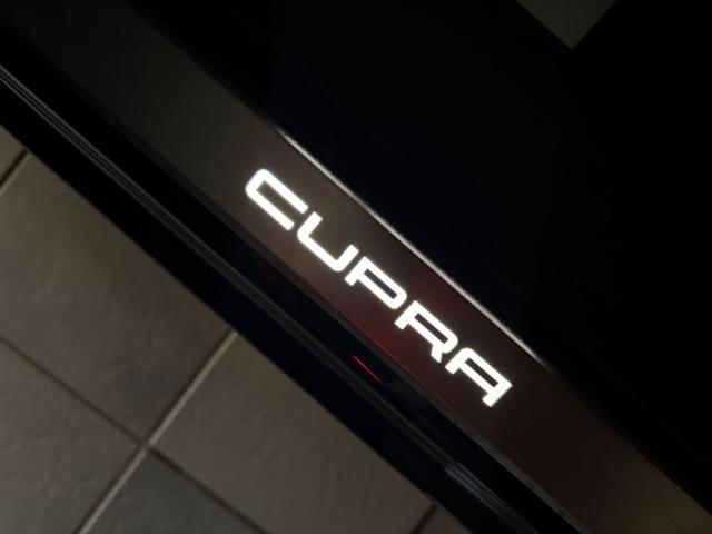 CUPRA Formentor 2.0 TDI 150 CV 4Drive DSG