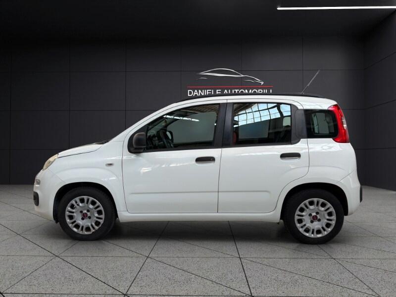 FIAT Panda 3ª serie Panda 1.2 Easy