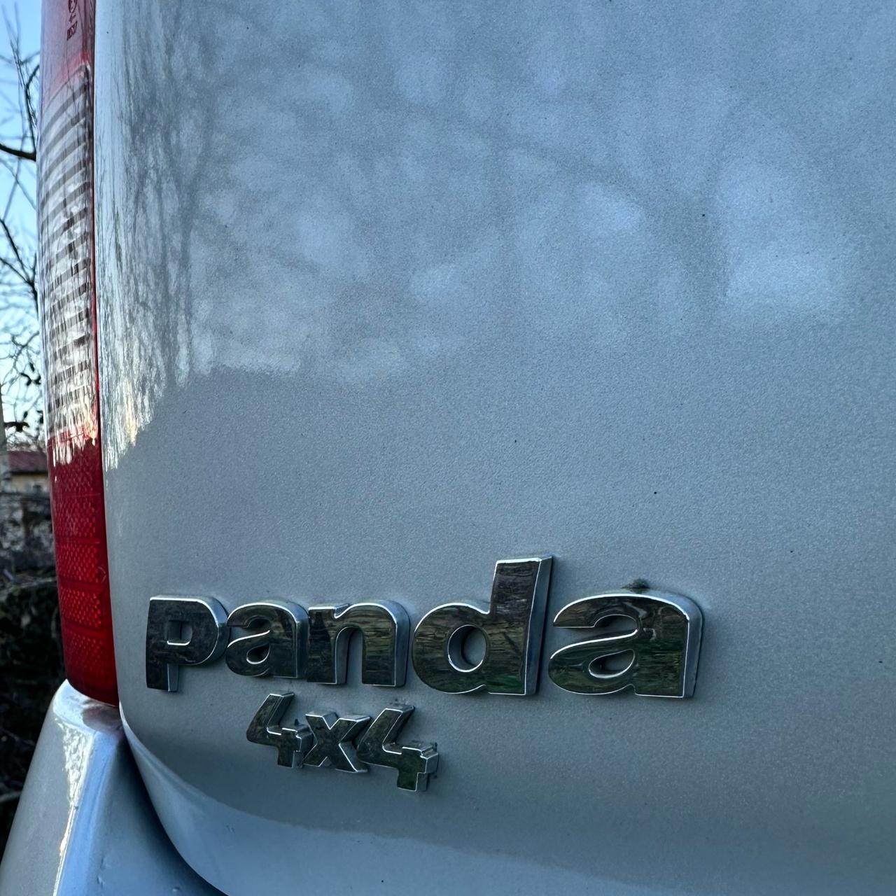 Fiat Panda 1.3 MJT 16V DPF 4x4 Climbing