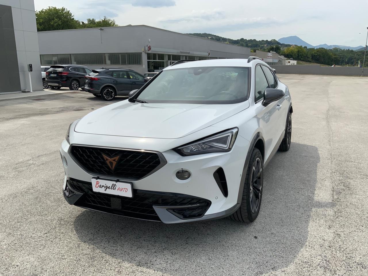 Cupra Formentor 2.0 TDI 4Drive DSG