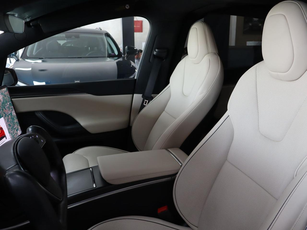 Tesla Model X Plaid #11739