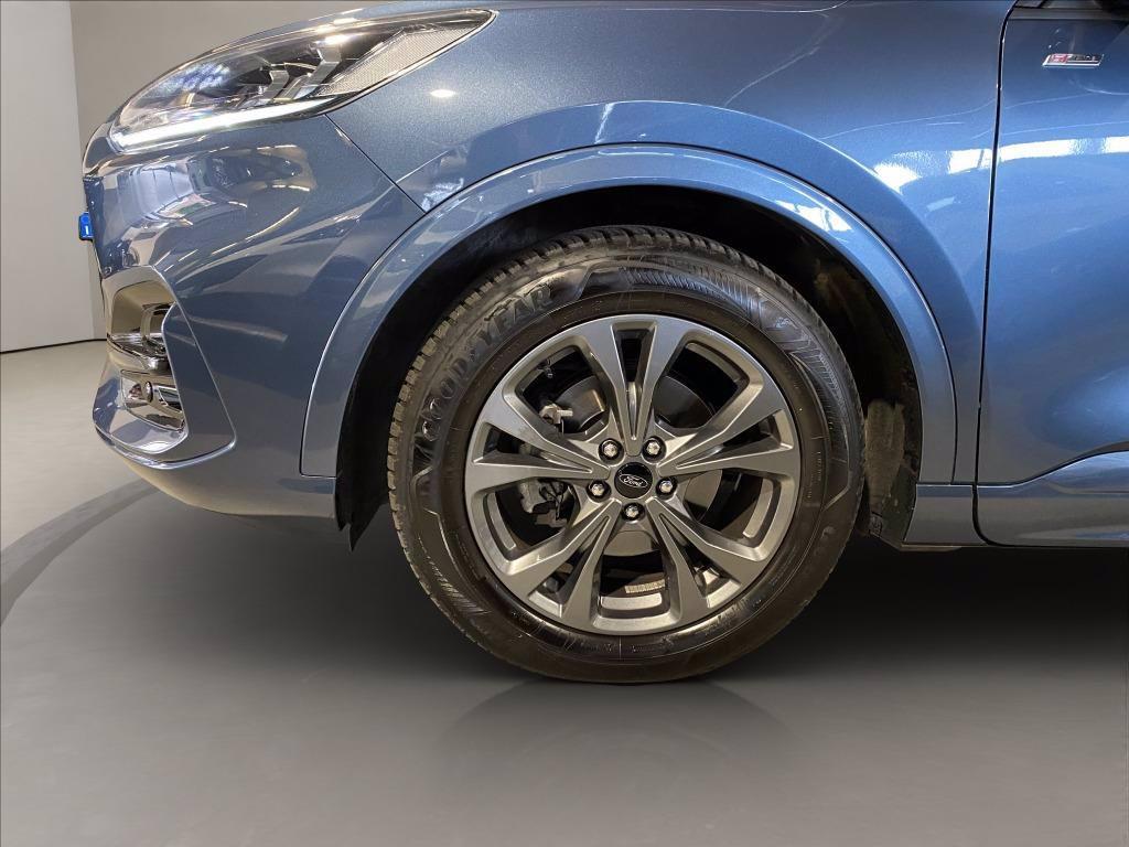 FORD Kuga 2.0 ecoblue ST-Line 2wd 120cv auto del 2024