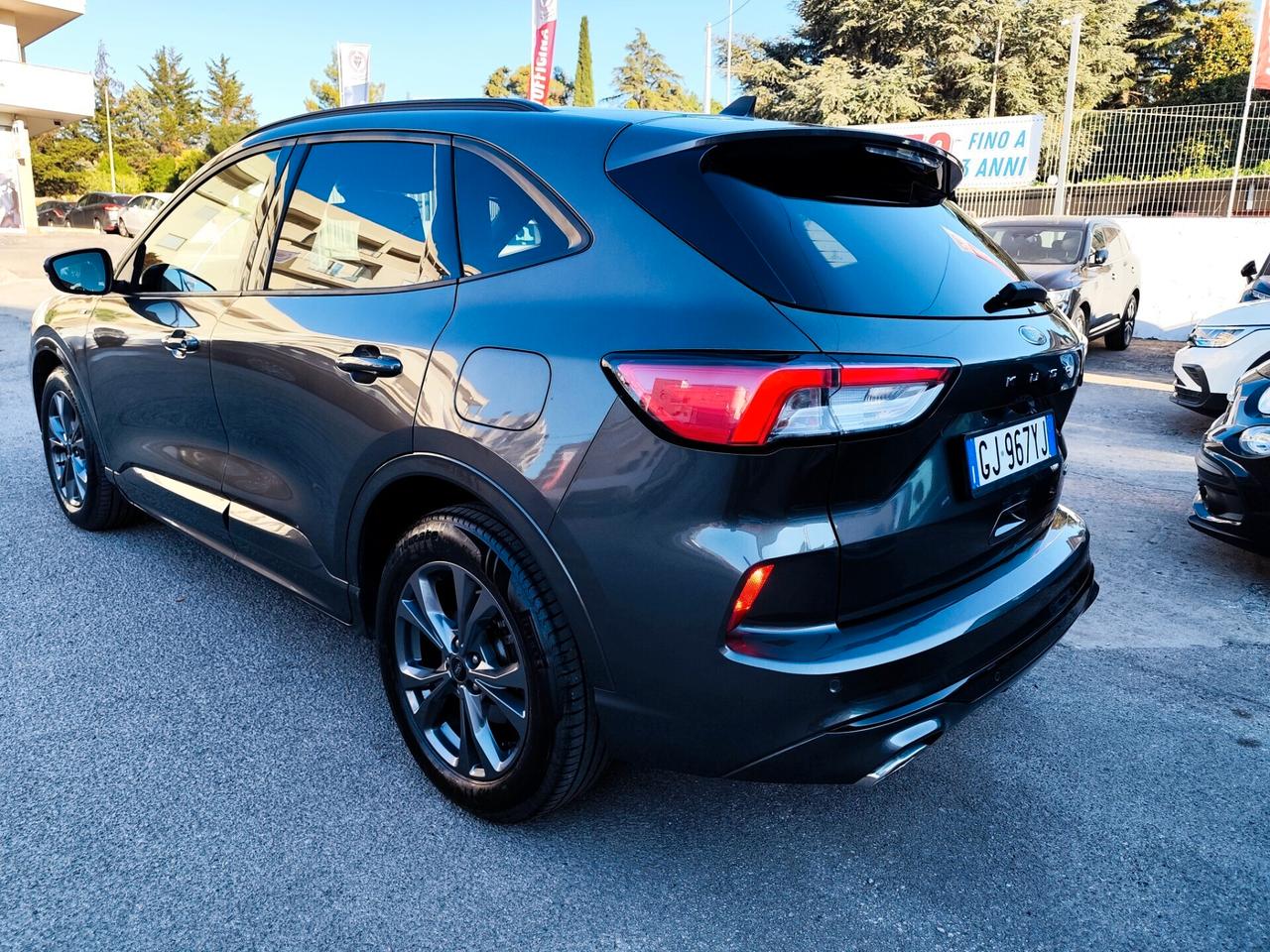 Ford Kuga 2.0 EcoBlue Hybrid 150 CV 2WD ST-Line