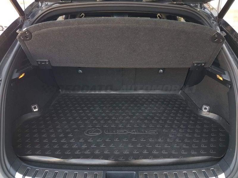 Lexus NX NX 300h 2.5 F-Sport 4wd cvt