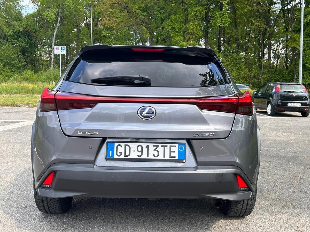 Lexus UX 250h Hybrid AWD Luxury Navi Pelle LED Camera