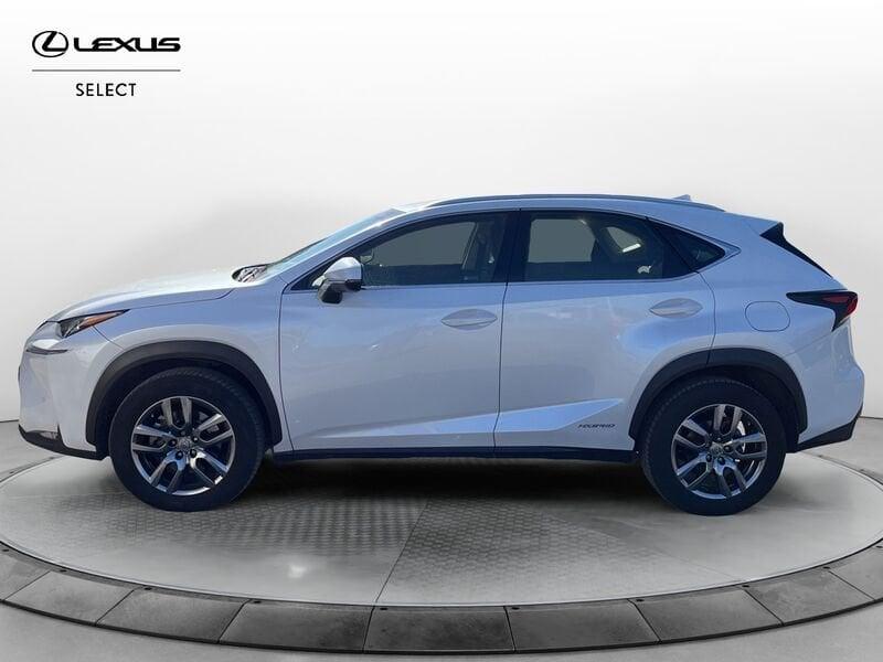 Lexus NX NX Hybrid 4WD Executive