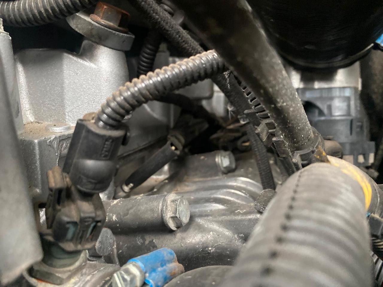 Iveco Daily 2.3 MJ Isotermico con Gruppo Frigo Thermo King – Motore Revisionato