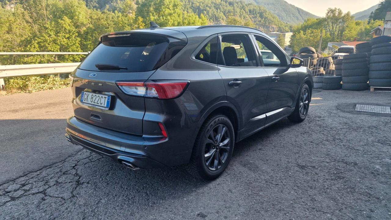 Ford Kuga 1.5 EcoBlue 120 CV 2WD ST-Line