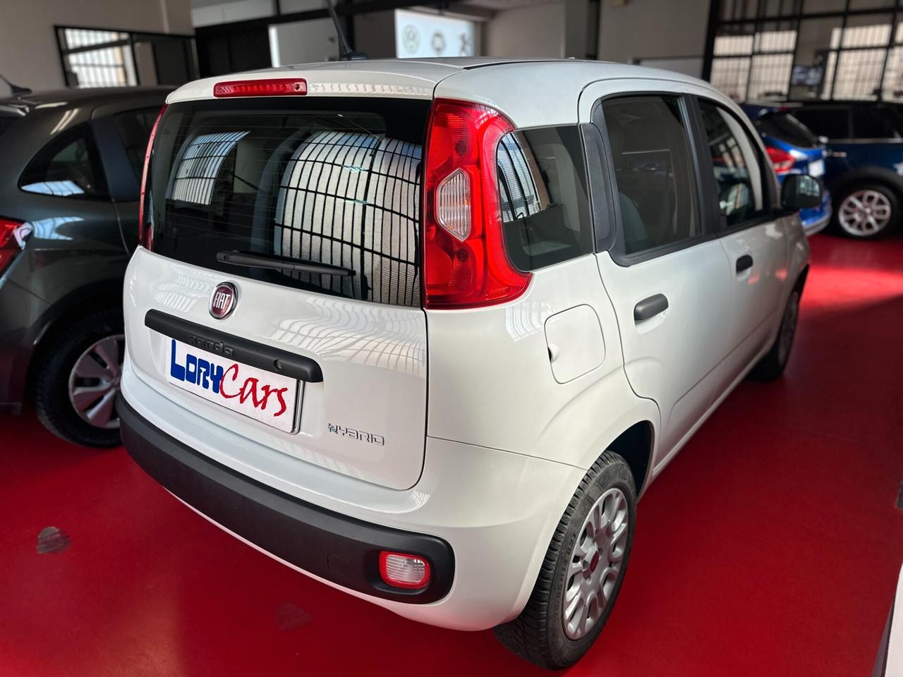 Fiat Panda 1.0 FireFly S&S Hybrid Launch Edition NEOPATENTATI