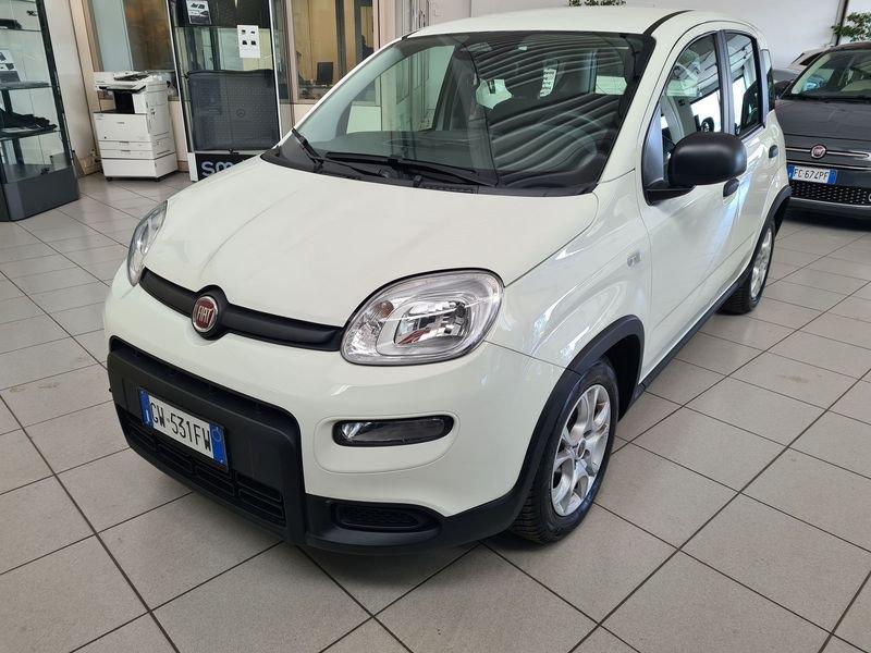 FIAT Panda 1.0 FireFly 70cv S&S Hybrid Pandina