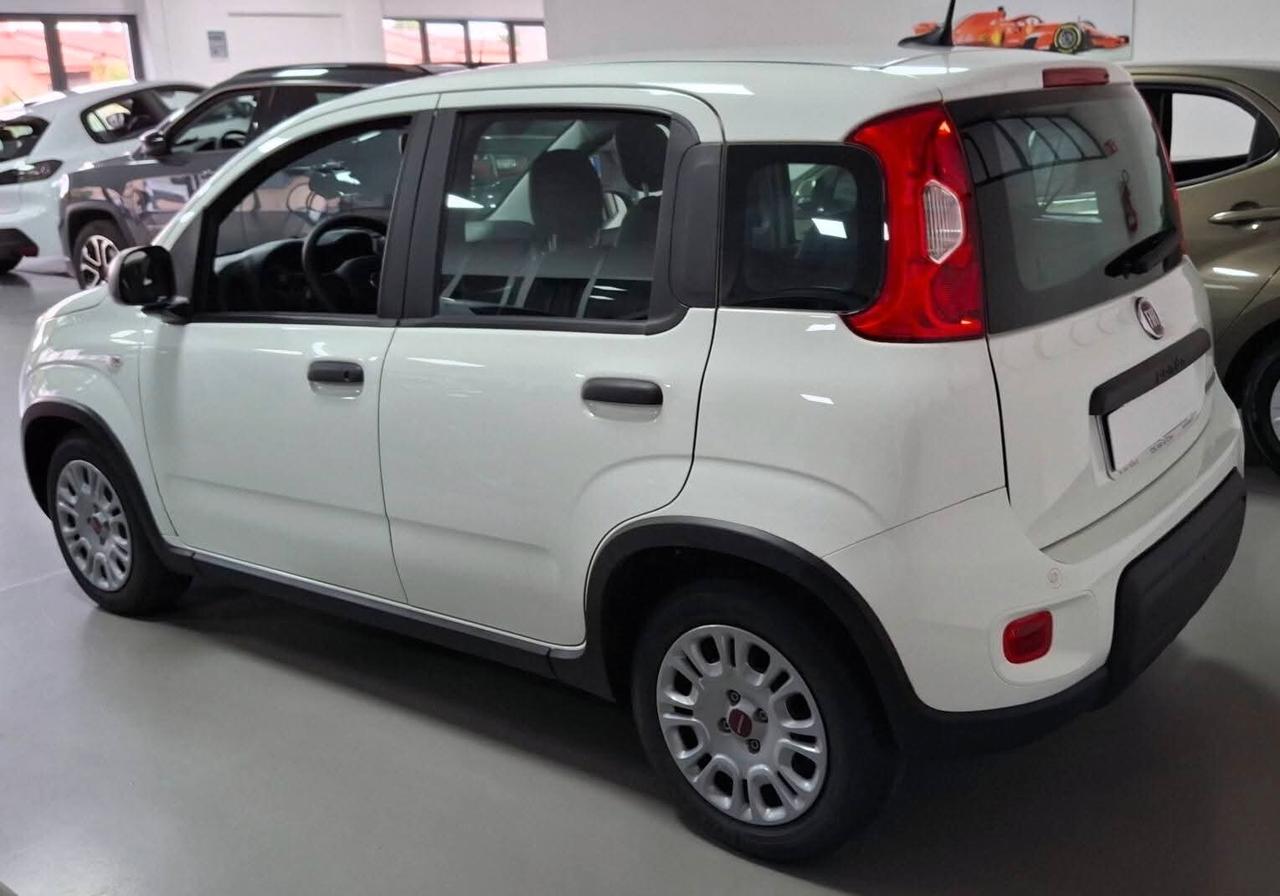 Fiat Panda 1.0 Hybrid km0 5posti Sensori parcheggio