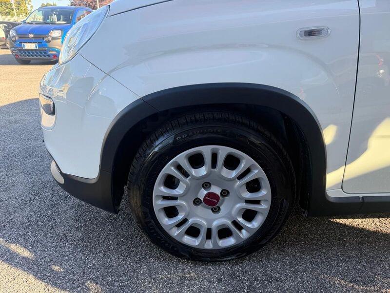FIAT Panda Panda 1.0 firefly hybrid 70cv 5 POSTI, SENSORI!