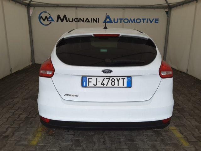 FORD Focus 1.5 TDCi 120cv Titanium *TAGLIANDI FORD*