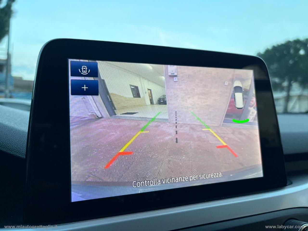 FORD Focus 1.5 EcoBlue 120CV 5p. Business