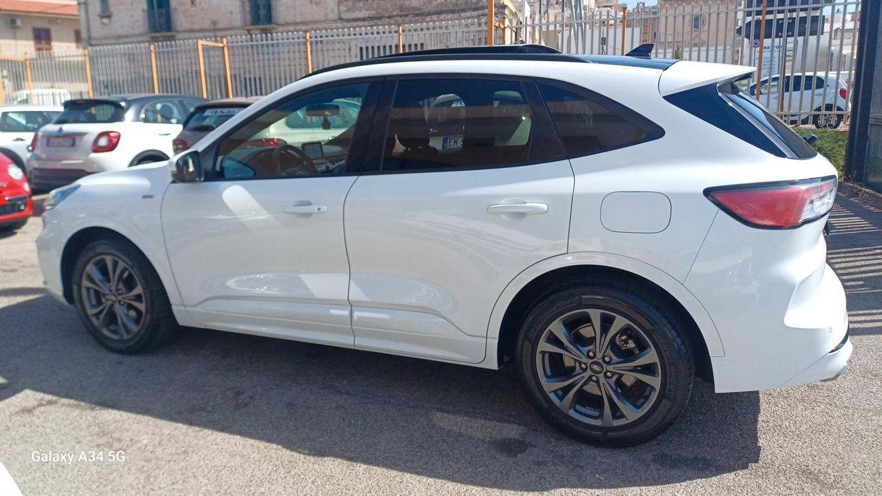 Ford Kuga 1.5 EcoBlue 120 CV 2WD ST-Line