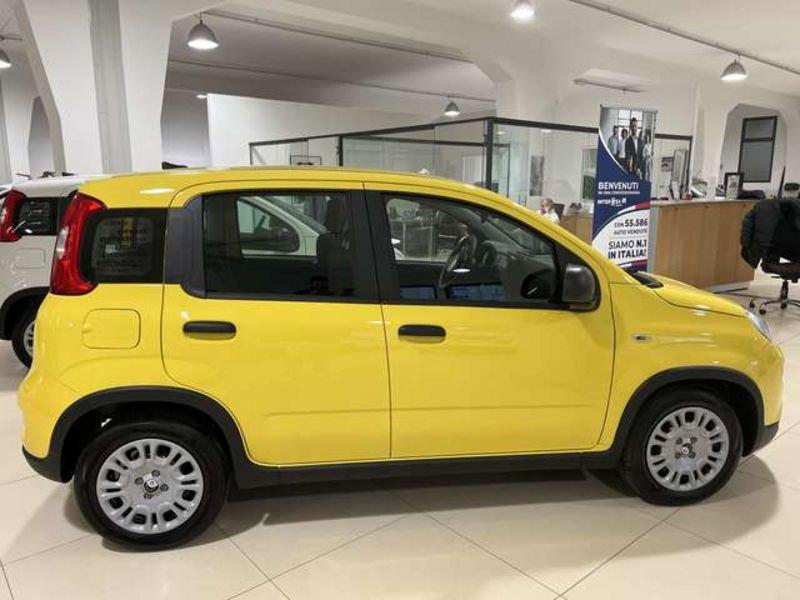 FIAT Panda 1.0 firefly hybrid s&s 70cv 5p
