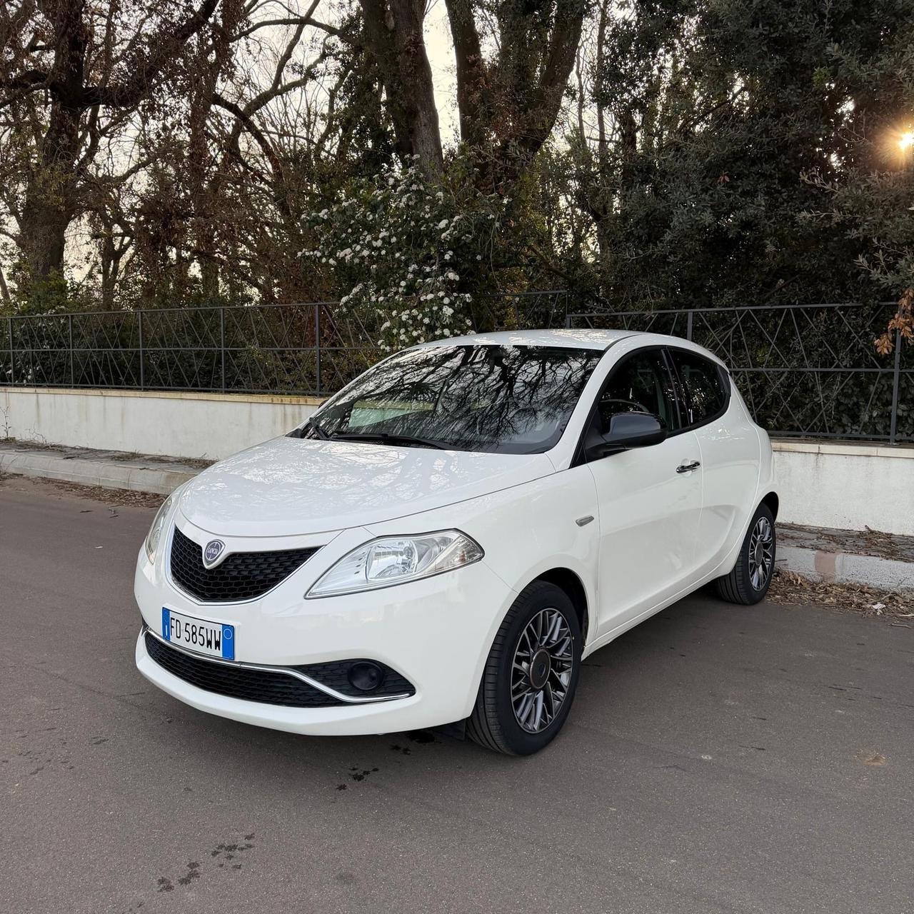Lancia Ypsilon 1.2 69 CV 5 porte Gold