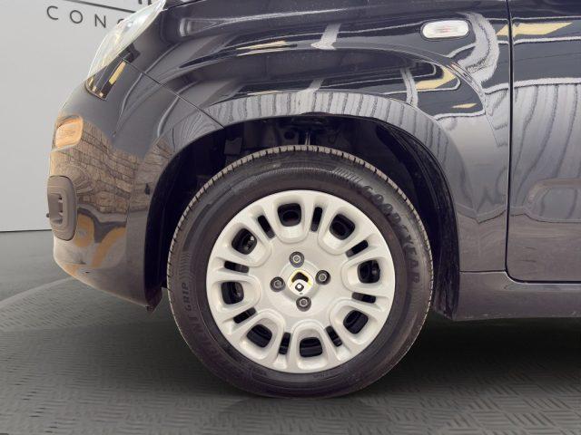 FIAT Panda 1.0 Hybrid 70cv 5 posti