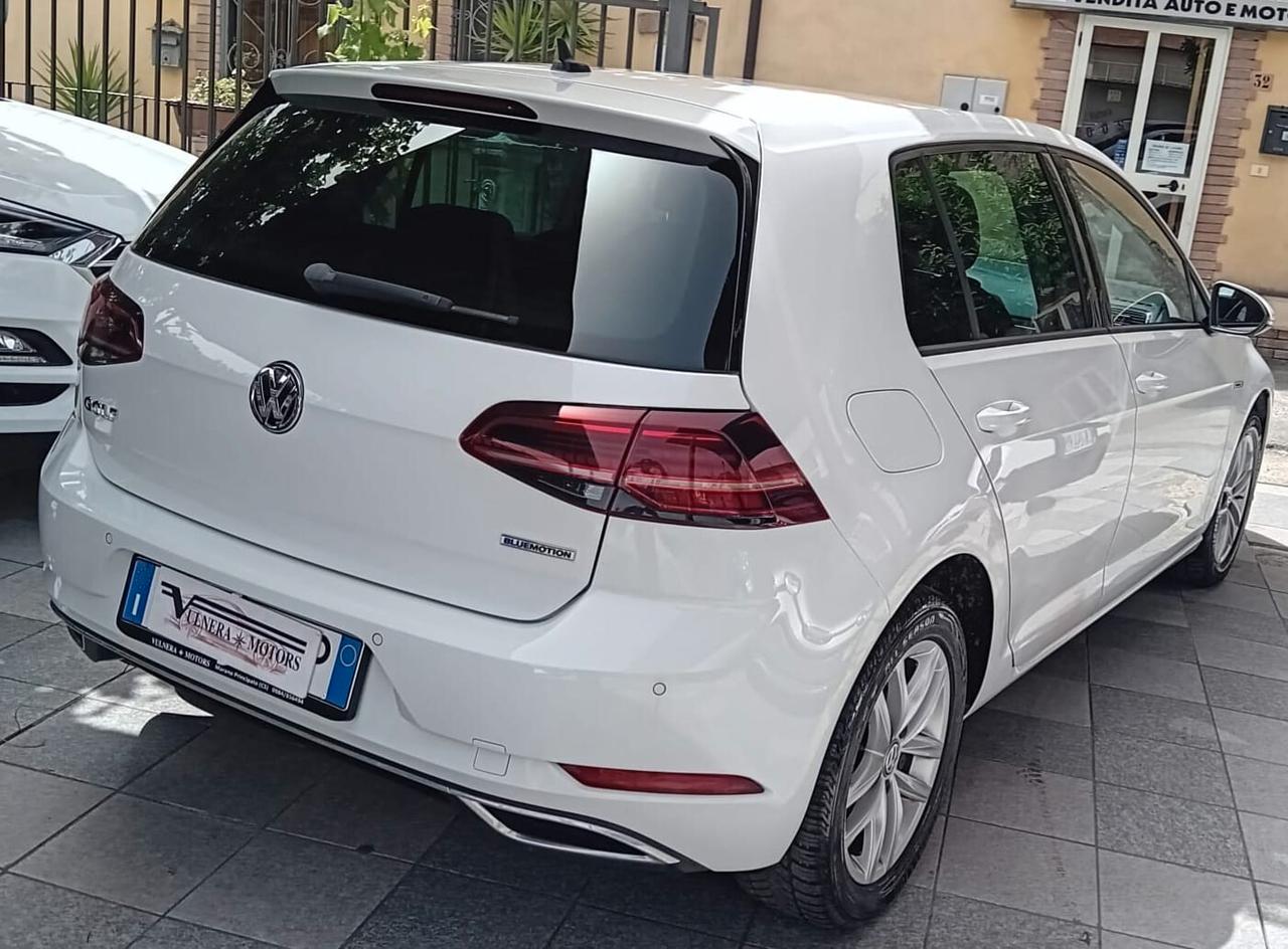 Volkswagen Golf 1.5 TGI 5p. Executive BlueMotion Technology